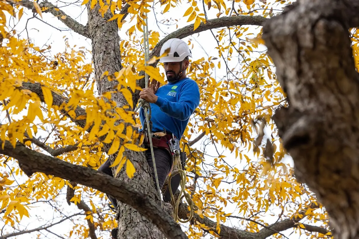 Skilled Storm Damage Cleanup crew working in Omak